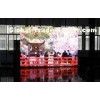 Outdoor IP65 P12 Transparent LED Screen , Ultra Thin LED Display