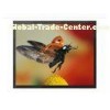 Wall Mount Professional CCTV Monitor Built In VGA / BNC / HDMI Input
