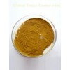 Danshen Extract