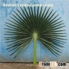 Camouflaged Palm Fronds