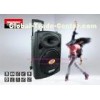Powered Portable PA Speakers Professional With Lead Acid Battery