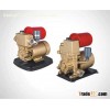 Surface pump/Self-priming pump/JET PUMP WZ370/750
