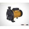 Centrifugal pump/Surface pump CPM130/146/158/180/200