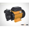 Surface pump/Vortex pump/Peripheral pump DB125