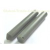 UHF RFID Nail Tag