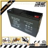 Maintenance Free Lead Acid Electric Tricycle Battery