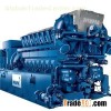 MWM Biomass Generator