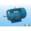 Submersible Motor