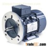 Leeson DC TEFC High Efficiency Motor