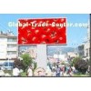 Waterproof Outdoor Advertising Led Display