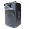 PA speaker P-15