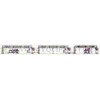 Barrier Functional Sheet PVDC Coating Machine With Two Rollers Coating Structure