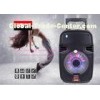 Wireless PA Speakers Outdoor Portable Amplifier Speaker System