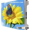 P2.08 LED TV