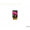 2.4 inch TFT LCD screen