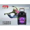 Indoor Portable Amplifier Speaker 12 Inch Full Range with LED Light