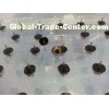 SMT Nozzle N610017373AD CM/NPM Nozzle for CM602 120S# nozzle