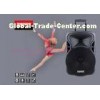 Passive 12 Inch Powered Speakers / Small Pa Speakers Big Sound