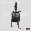 Stainless Steel Agitated Tank