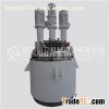 Industrial Batch Reactor