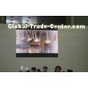 Steel P6 Indoor Full Color LED Display For Advertising , IP65 / IP43 , AC110V / 60Hz