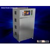 200G/H Intelligent ozone machine