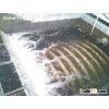 Biological Aerated Filter + Filtering
