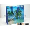 ,Beach Bag Made of Woven Peritoneal