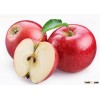 Apple polyphenols