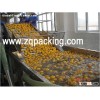 Complete juice production plant for new factory