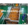 Orange ,pineapple/mango/pulp juice filling machine