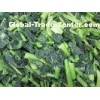 Healthy IQF Fresh Frozen Vegetables , Delicious Frozen Vegetables for Restaurants