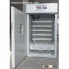 Eggs incubator
