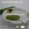 Wasabi Paste