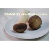 Healthy New Crop Freezing Fresh Mushrooms , IQF Frozen Abalone Mushroom with 18 Months Sherf Life