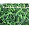 6 ~ 8cm IQF Healthy Fresh Frozen Vegetables / Frozen rape flower for Supermarkets , Hotels