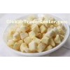 Delicious Freeze Dried Fruit Freezed Dried Apple Dice 6*6*6mm for Baking