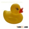 Rubber Toy Duck