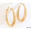 brass gold plated earring jewelry