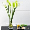 Cylinder Vases