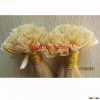 globle quality silk striahgt European Keratin Prebond Hair Extension