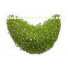 Round Peridot Loose Gemstones Green For Earings 3mm 0.12 Carats