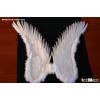 Feather angel wing for sale - China supplier W-1012