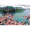 hand painted Chinese landscape oil painting