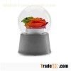 Colorful Flowers Music Boxes