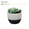 Black Succulents Concrete Plant Pots Outdoor Decoration Mixed colors