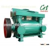 water ring vacuum pump