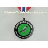 Round Reward Custom Awards Medals With Ribbon , Brass Offset Printing