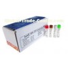 SureX® HPV 25X Genotyping Kit