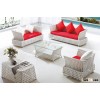 Morden Rattan Sofa Set 505